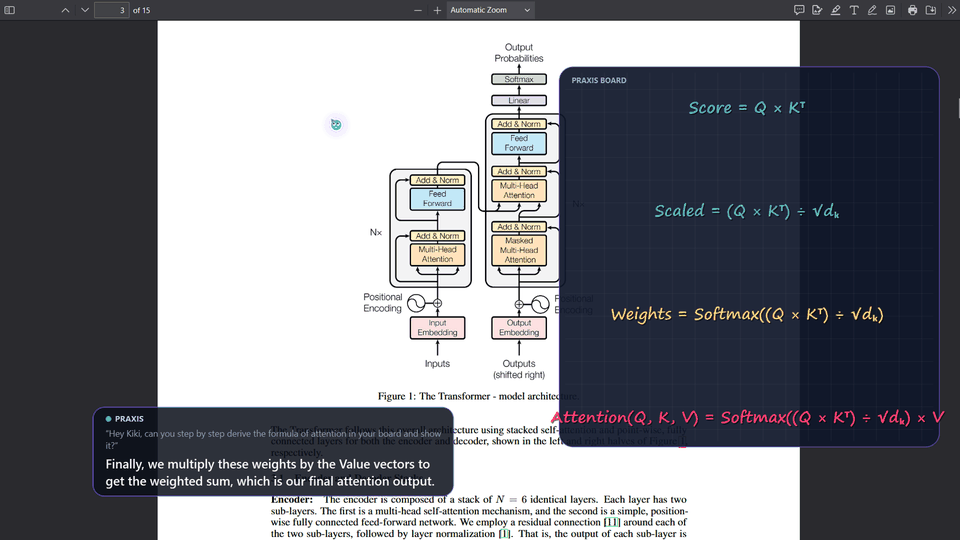 A tour of Praxis drawing and explaining on real screens